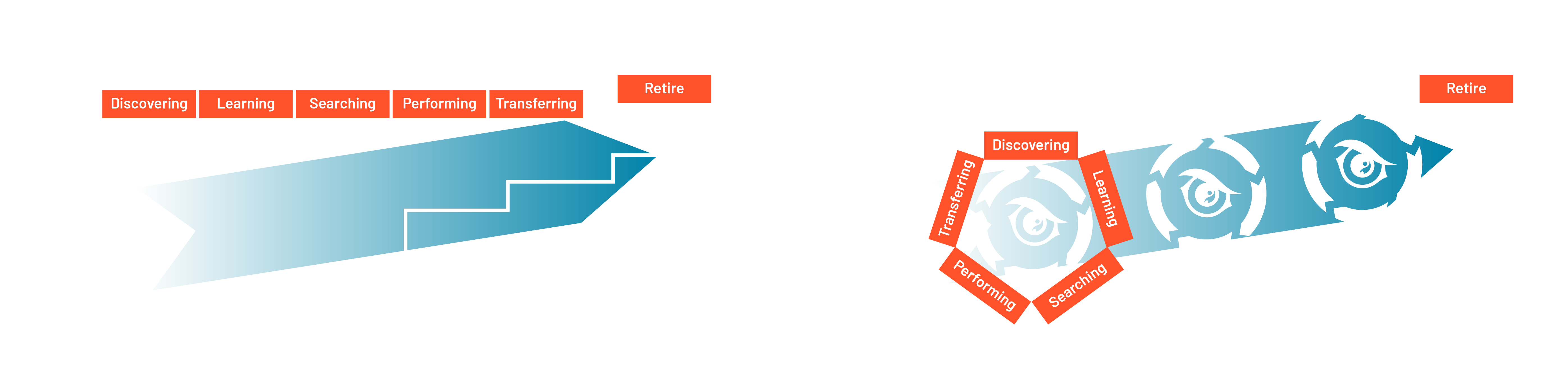 career path comparison